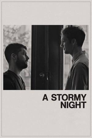 When a heavy storm threatens the city of New York, two complete strangers –a cynical documentary filmmaker from Spain and an idealist app programmer– find themselves sharing shelter, questioning each other’s understanding of life, happiness and love.
