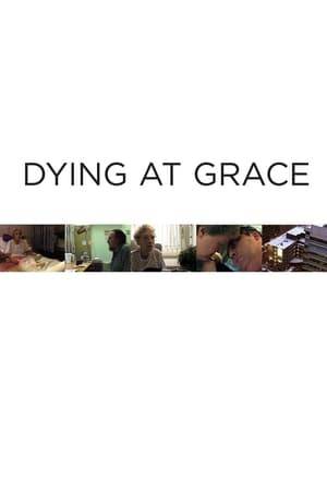 This film is about the experience of dying. Five terminal patients in a Palliative Care Unit share the last days of their lives and deaths with a film crew.