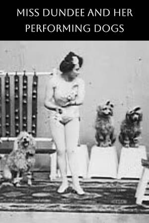 A woman shows off her trained dogs.