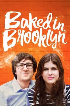 A recent college graduate decides to sell marijuana on the streets of Manhattan after losing his job at a consulting firm. He soon meets the girl of his dreams. With an unsupportive girlfriend, an increase of clienteles, and the growing threats of being caught or killed, he soon realizes he is in way over his head.
