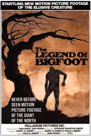 A documentary about the legendary creature, Bigfoot, with emphasis on him being the missing link.