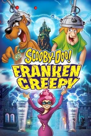 Velma discovers she's inherited her great-great-uncles' cursed castle in Transylvania, Pennsylvania. The team decide to go there on a spooky adventure.