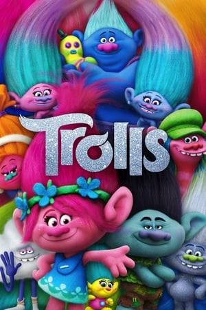 After the monstrous Bergens invade Troll Village, Princess Poppy, the happiest Troll ever born, and overly-cautious, curmudgeonly outcast Branch set off on a journey to rescue her friends. Their mission is full of adventure and mishaps, as this mismatched duo try to tolerate each other long enough to get the job done.