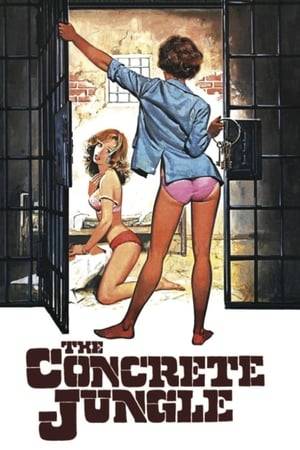 An unfortunate and naive girl is set-up by her boyfriend and convicted of drug smuggling. She is sent to a women's correctional facility where she must constantly struggle to survive.