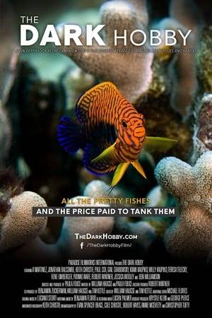 The Hawai'ian Islands are ground zero for the aquarium trade who capture and traffic reef fish for hobbyists’ tanks, decimating the reef, ocean and earth’s oxygen. Native Hawai'ians, conservationists, scientists, aquarium fish collectors and breeders are locked in a controversy over the stunning “treasure of Hawai'i” – the ornamental fish.