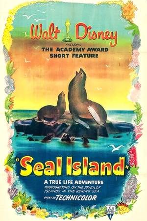 Seal Island is a 1948 American documentary film directed by James Algar. It won an Academy Award in 1949 for Best Short Subject (Two-Reel).