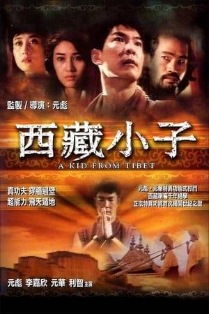 As the evil sect known as the Black Section of Esoteric Buddhism wreaks havoc on Tibet, a young monk named Wong La (Biao Yuen) is sent to Hong Kong to recover a sacred urn that holds the power to defeat the enemies. Wong soon meets and safeguards a gorgeous woman (Michelle Reis) connected to the urn's protector, while the leader of the Black Section learns of Wong's plan and pursues the urn for himself in this martial arts thriller.