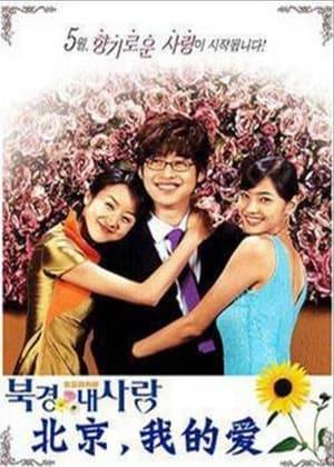 Na Min Kook was a spoiled brat and was sent by his father to his company branch office in China to learn the business. He ran away and befriended a Chinese student Yang Xue and her family. Friendship blossomed into love and Na Min Kook gradually learned to be a responsible person worthy of his father's expectations.