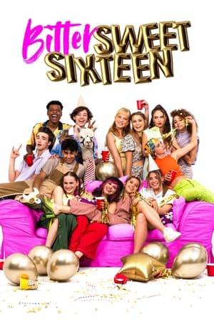 A troubled teen grapples with high school rivals, romantic prospects and her parents' separation as she plans the perfect sweet 16 birthday party.