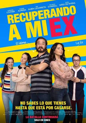 When washed-out, has-been actor Francisco, finds out that his ex-wife is about to remarry and take their daughter to live abroad, he'll manipulate everyone around him to stop the wedding and get his family back.