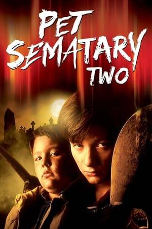 The "sematary" is up to its old zombie-raising tricks again. This time, the protagonists are Jeff Matthews, whose mother died in a Hollywood stage accident, and Drew Gilbert, a boy coping with an abusive stepfather.