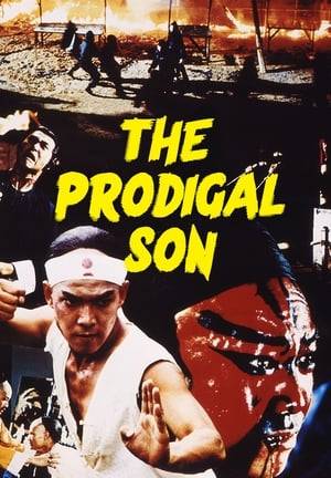 A rich man's son believes himself to be the best kung fu fighter in Canton. Unfortunately, his father, anxious for his son's safety, bribes all his opponents to lose. After a humiliating defeat at the hands of an actor in a traveling theatre company, the son resolves to find a better teacher.