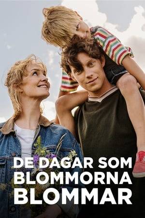 The Days the Flowers Bloom follows the lifes of three friends on different decades. Erik, Mikael and Benny live their youth in 1970s Stockholm. Their families interact with each other, like neighbors tend to do,  but behind the facades lies pain, sadness and shame.