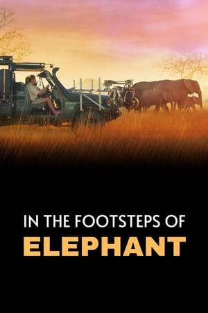 Follow filmmakers as they capture the epic journey of African elephants across the Kalahari desert. The team faces extreme weather, inaccessible terrain, crocodile-infested waters and close encounters with lions in order to shine a light on these remarkable creatures and their ancient migrations.
