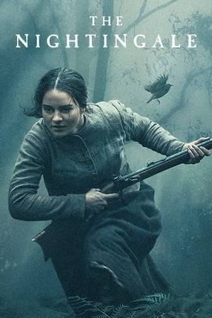 In 1825, Clare, a 21-year-old Irish convict, chases a British soldier through the rugged Tasmanian wilderness, bent on revenge for a terrible act of violence he committed against her family. She enlists the services of an Aboriginal tracker who is also marked by trauma from his own violence-filled past.