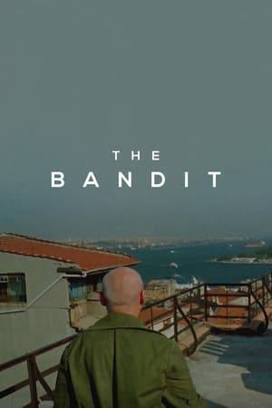 Baran the Bandit, released from prison after serving 35 years, searches for vengeance against his former best friend who betrayed him and stole his lover, teaming up with a young punk with his own demons along the way.