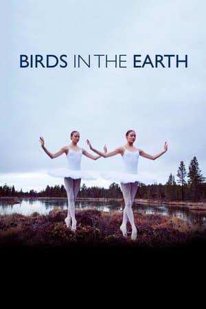 Sami dance students Birit and Katja Haarla dance through the villages and lost woods of Sápmi all the way to where the important decisions are made. The polarity of Nature and the Western way of life is filtered through sharp humour.