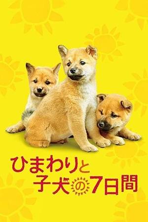 Set within an animal shelter, where if the owner of an animal doesn't claim their pet in 7 days, the animal is put to sleep. Himawari, is a female dog and a mother. She tries to desperately save her baby dogs.