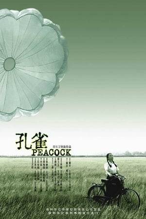 Brings viewers into a small Chinese city and inspires familiarity with the rhythms of everyday existence, with people's dreams, shortcomings and illusions in a way that is universal.