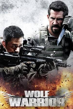 A Chinese special force soldier with extraordinary marksmanship is confronted by a group of deadly foreign mercenaries who are hired to assassinate him by a vicious drug lord.