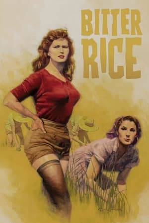 Francesca and Walter are two-bit criminals in Northern Italy, and, in an effort to avoid the police, Francesca joins a group of women rice workers. She meets the voluptuous peasant rice worker, Silvana, and the soon-to-be-discharged soldier, Marco. Walter follows her to the rice fields, and the four characters become involved in a complex plot involving robbery, love, and murder.