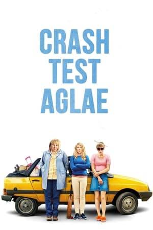 Aglaé, a young factory worker, has only one focus in life: her job at a car crash test site. When she learns that the factory is going to be relocated abroad, she accepts, to everyone's surprise, to go to India in order to hold on to her job. Accompanied by two colleagues, she sets out on a perilous road trip to the other side of the world.
