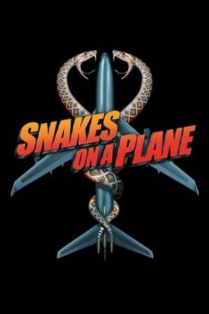FBI agent Neville Flynn boards a flight from Honolulu, Hawaii to Los Angeles, escorting a key witness to testify against a mob boss at an upcoming trial. An on-board assassin releases a crate full of hundreds of deadly venomous snakes in an attempt to eliminate the witness. Flynn and a host of frightened passengers and crew must band together to survive the slithery threat.