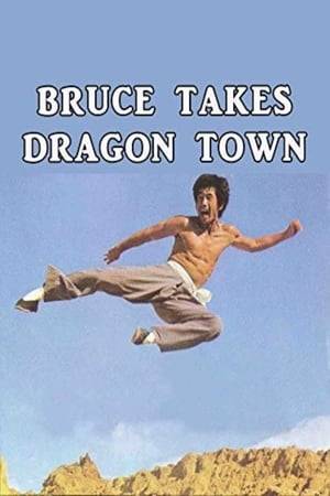 Alan Tang is forced into a swirling dilemma between two antagonistic drug smugglers. Double crossed, he manages to emerge triumphant. See this kung fu extravaganza explodes in a bloody spectacle of wrath rage and vengeance as Bruce takes Dragon Town.