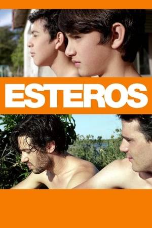 Childhood friends Matías and Jerónimo reach adolescence and experience sexual attraction to each other, before being separated by circumstances. Later, as young adults, they meet again, and the film follows themes of complicated relationships and sexual tensions, as well as issues of homophobia