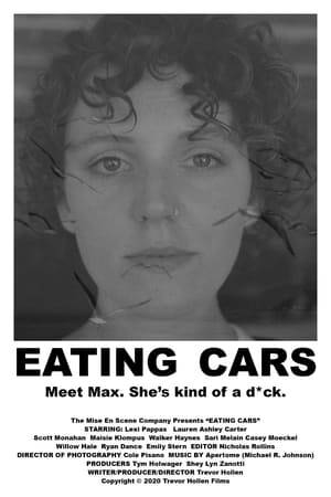 Max, a failed writer, goes in search of her estranged girlfriend while simultaneously, trying to unload a large quantity of drugs she stole off her bosses to pay for a trip back East to care for her dying mother. She also might have her dead sister in the trunk of her car.