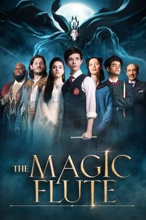 A seventeen year old travels from London to the Austrian Alps to attend the legendary Mozart boarding school. There, he discovers a centuries-old forgotten passageway into the fantastic world of Mozart's "The Magic Flute".
