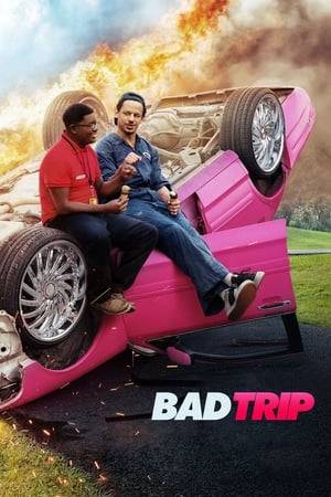 This mix of a scripted buddy comedy road movie and a real hidden camera prank show follows the outrageous misadventures of two buds stuck in a rut who embark on a cross-country road trip to NYC. The storyline sets up shocking real pranks.