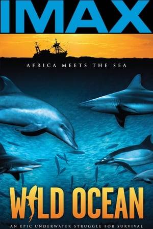 Wild Ocean is in an uplifting, giant screen cinema experience capturing one of nature's greatest migration spectacles. Plunge into an underwater feeding frenzy, amidst the dolphins, sharks, whales, gannets, seals and billions of fish. Filmed off the Wild Coast of South Africa, Wild Ocean is a timely documentary that celebrates the animals that now depend on us to survive and the efforts by the local people to protect this invaluable ecological resource. Hope is alive on the Wild Coast, where Africa meets the sea.