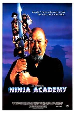 Echoing the comic tone of the "Police Academy" films, Ninja Academy boasts an ensemble cast of hilarious characters, bonding while training hard, playing hard and ultimately, losing hard-- In the tough, unforgiving world of martial arts.