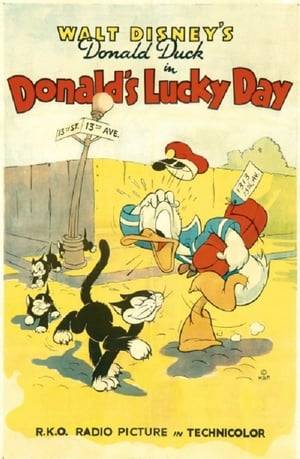 Donald Duck, delivery boy, is hired to deliver a mysterious package on Friday the Thirteenth. He is hindered by a bothersome black cat -- and by the fact that the package contains a live bomb.