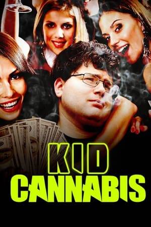 An eighteen year old high school drop out and his twenty-seven year old friend start trafficking marijuana across the border of Canada in order to make money and their lives are changed forever.