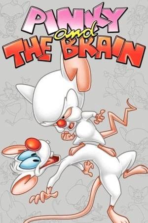 Pinky and Brain are genetically enhanced laboratory mice who reside in a cage in the Acme Labs research facility. Brain is self-centered and scheming; Pinky is good-natured but feebleminded. In each episode, Brain devises a new plan to take over the world, which ultimately ends in failure, usually due to Pinky's idiocy, the impossibility of Brain's plan, Brain's own arrogance, or just circumstances beyond their control.