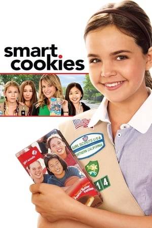 A high-maintenance realtor forced to do community service must lead a group of hopeless girl scouts in the regional cookie drive competition.