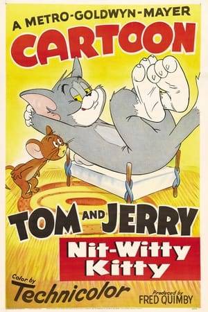 Tom has amnesia and believes he's a mouse. Jerry, finding him more obnoxious as a fellow rodent than as a cat, seeks to cure him with a blow to the head.
