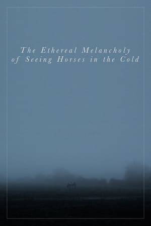 A silent short, focusing on the beauty and melancholia of seeing horses in the cold fog, and the metaphors that manifest, as time passes.