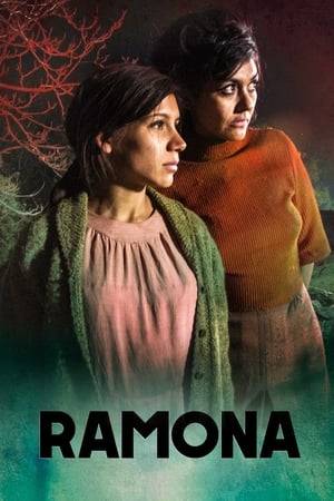 In the late 1960s, two young sisters, Ramona and Helga, emigrate from the countryside to the city. Upon arriving in Santiago, Chile, they start a clandestine business selling wine in a camp that is being built in the outskirts of the city.