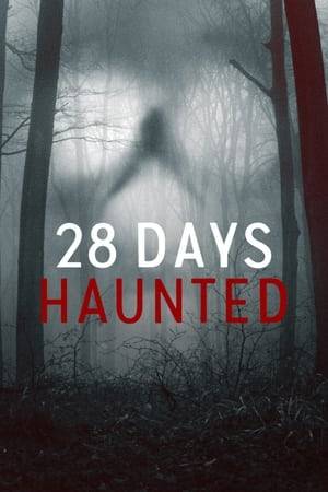 Three teams each spend 28 days in some of America's most haunted locations for a paranormal experiment based on the theories of Ed and Lorraine Warren.