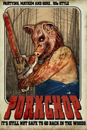 A group of campers are stalked by a deranged redneck with a pig mask.