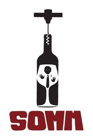 Somm takes the viewer on a humorous, emotional and illuminating look into the mysterious world of the Court of Master Sommeliers and their massively intimidating Master Sommelier Exam.
