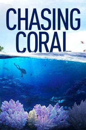 Coral reefs are the nursery for all life in the oceans, a remarkable ecosystem that sustains us. Yet with carbon emissions warming the seas, a phenomenon called “coral bleaching”—a sign of mass coral death—has been accelerating around the world, and the public has no idea of the scale or implication of the catastrophe silently raging underwater.