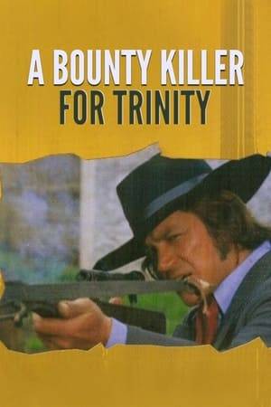 The townsfolk of Trinity decide to hire a notorious bounty hunter to protect them from a fierce band of Mexican outlaws who are terrorizing the area.