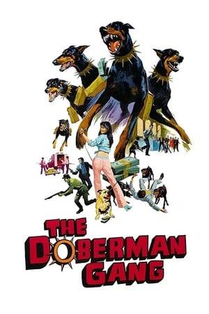 After a failed bank robbery, an ex-con, an ex-waitress and a few of their friends train a pack of doberman dogs to rob a bank for them.
