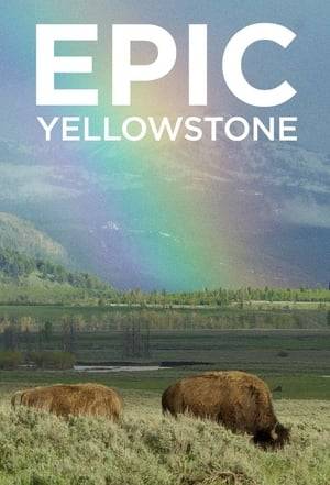 Bill Pullman introduces and narrates this four-part documentary on the world's first national park, Yellowstone.