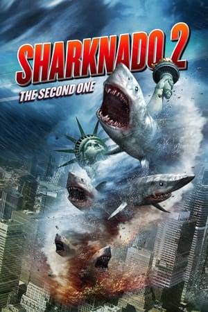 A freak weather system turns its deadly fury on New York City, unleashing a Sharknado on the population and its most cherished, iconic sites - and only Fin and April can save the Big Apple.