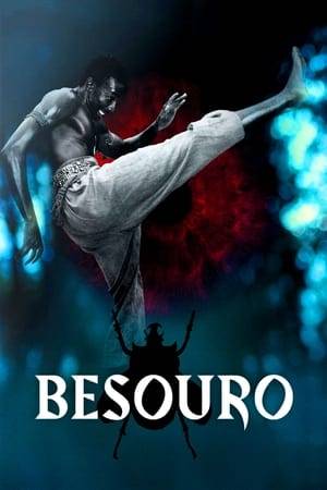 Based on the life of a legendary capoeira fighter from Bahia, "Besouro" spins a fantastic tale of a young Brazilian man of African descent in search of his mission.